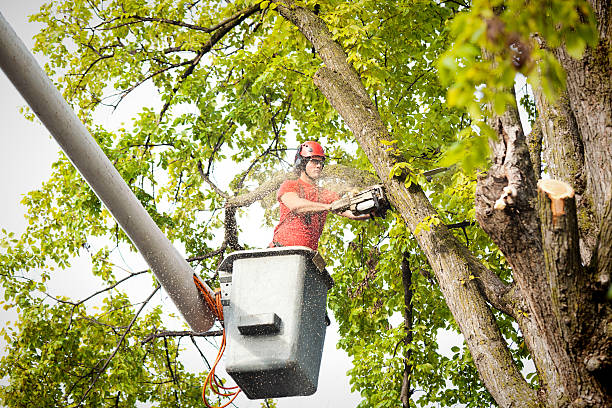 Seasonal Cleanup (Spring/Fall) in Garrett, WA